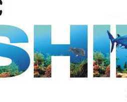 fishing-charters-gold-coast-deals