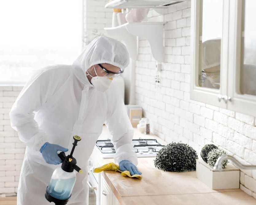 expert-pest-control-services-for-north-shore-homes-businesses