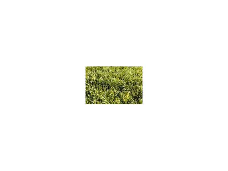 best-artificial-grass-perth-for-beautiful-outdoor-spaces-small-0