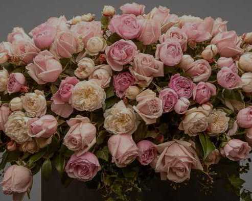 masterfully-arranged-condolence-florals-to-express-eternal-love