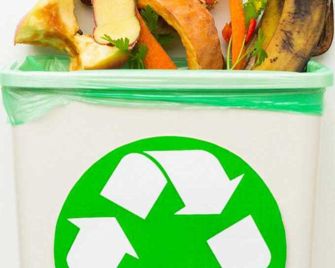sustainable-organic-waste-disposal-services-by-willetts-waste