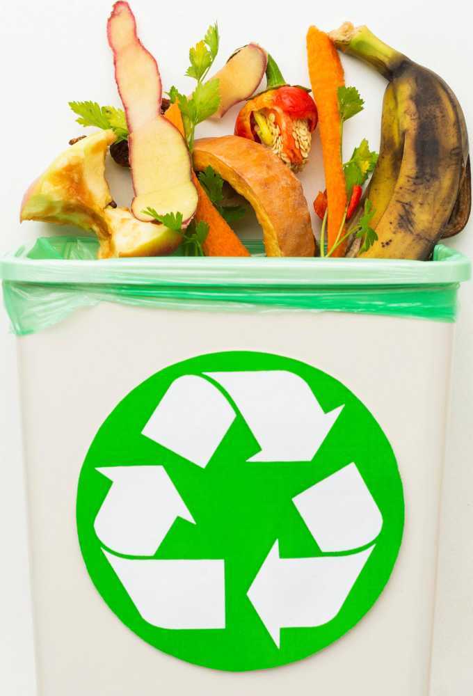 sustainable-organic-waste-disposal-services-by-willetts-waste-big-0