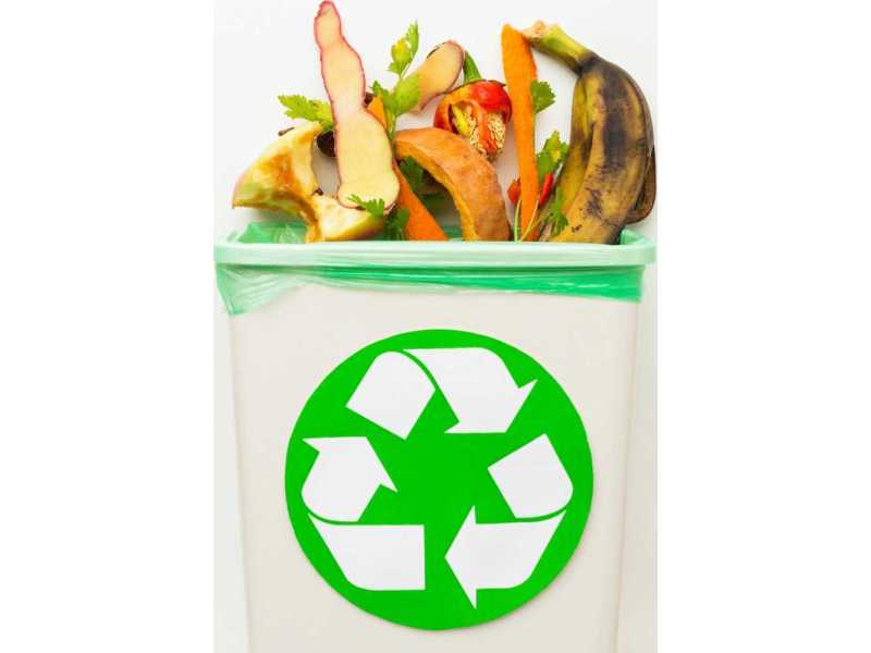 sustainable-organic-waste-disposal-services-by-willetts-waste-small-0