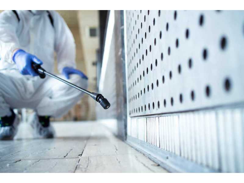 pest-control-coomera-trusted-solutions-for-a-pest-free-property-small-0
