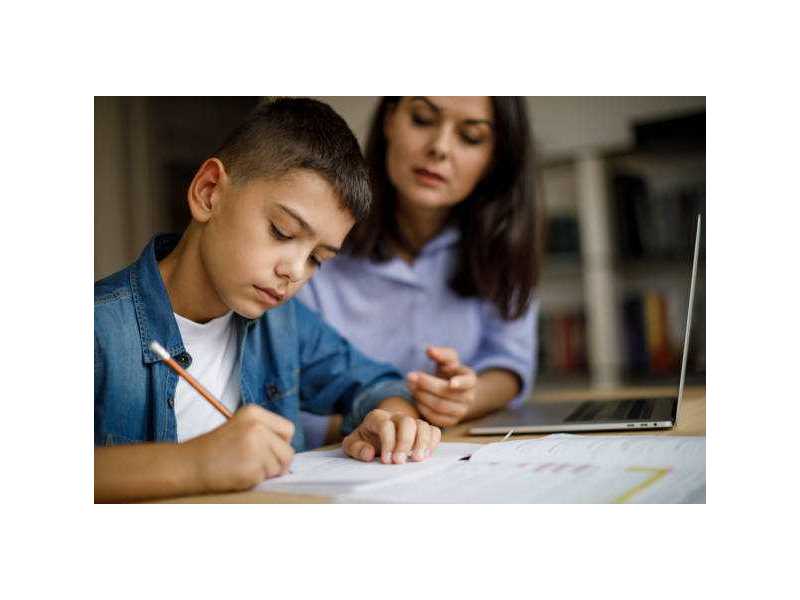 need-help-improving-school-results-find-a-tutor-in-nerang-small-0