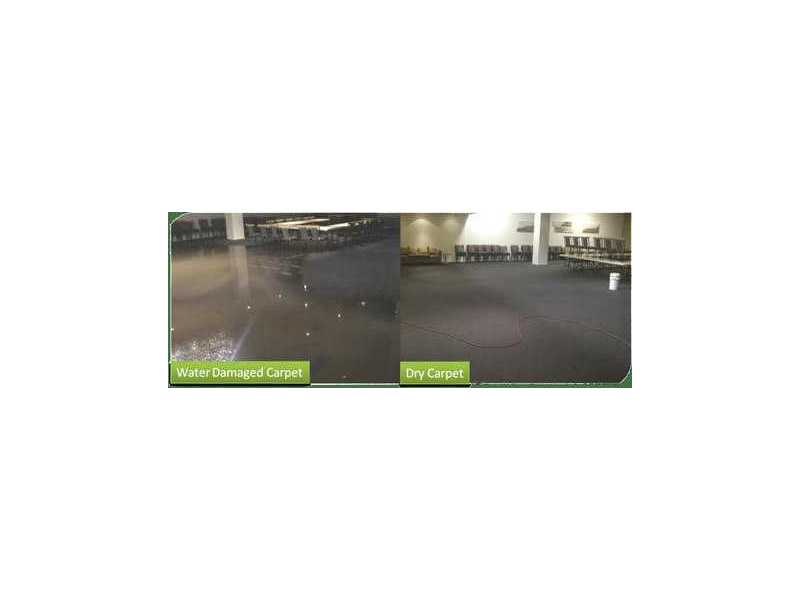 need-trusted-support-for-carpet-flood-damage-restoration-small-0