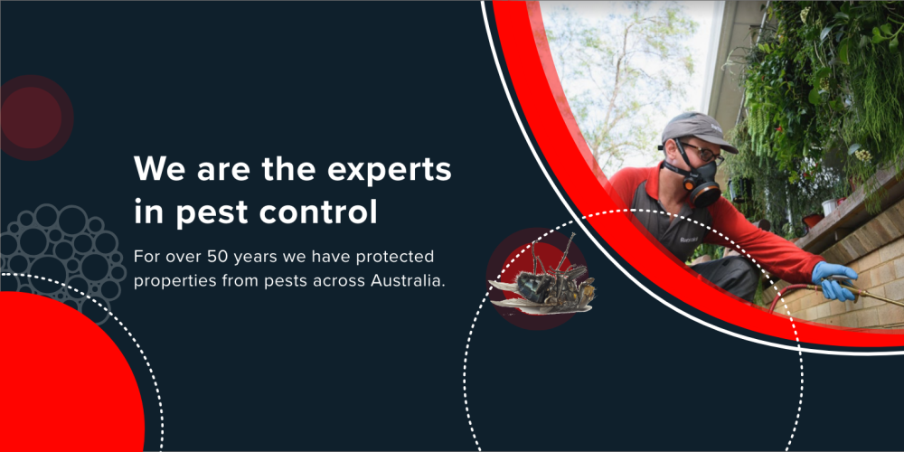 rentokil-australia-big-0