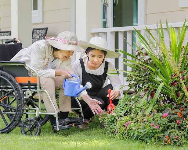 quality-ndis-gardening-in-perth-to-keep-your-yard-beautiful