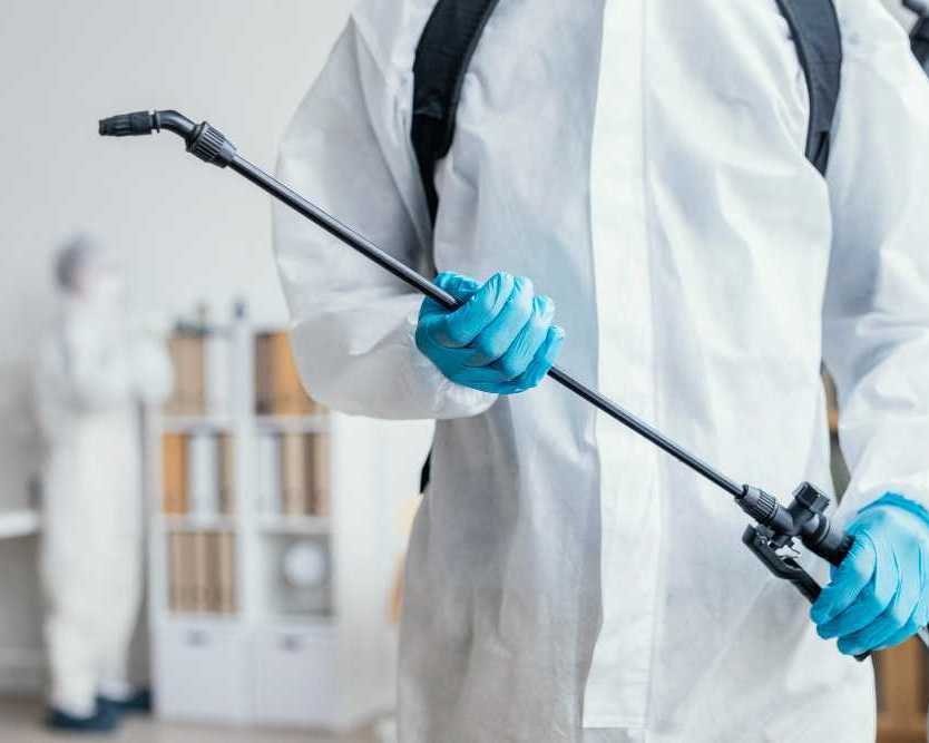 pest-control-helensvale-effective-solutions-for-homes