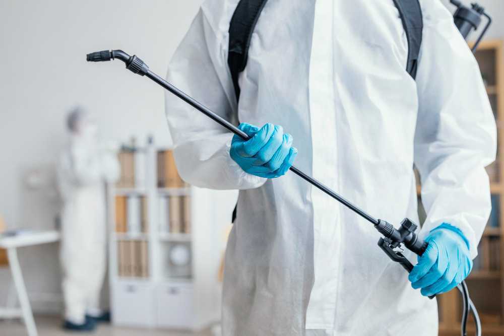 pest-control-helensvale-effective-solutions-for-homes-big-0
