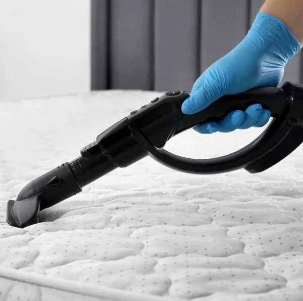 mattress-full-of-bacteria-choose-mattress-cleaning-and-disinfection-big-1