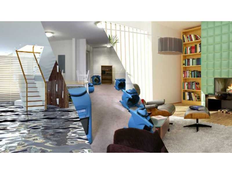 want-quality-water-damage-carpet-restoration-solutions-small-0