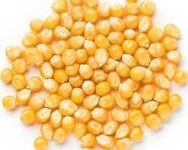 popcorn-wholesale-suppliers-for-retail-and-commercial-need
