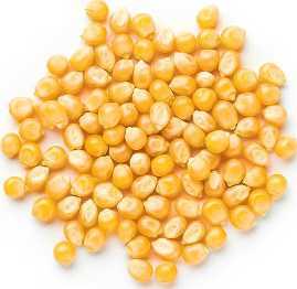 popcorn-wholesale-suppliers-for-retail-and-commercial-need-big-0