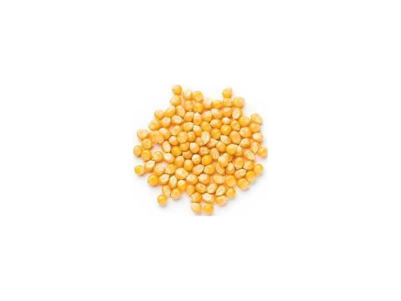 popcorn-wholesale-suppliers-for-retail-and-commercial-need-small-0