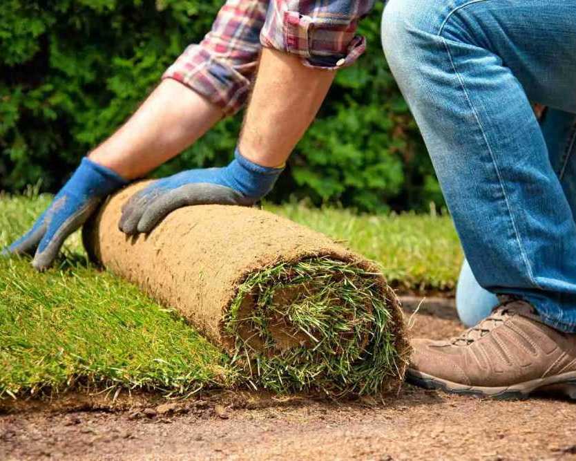 grass-installation-gunners-landscapes