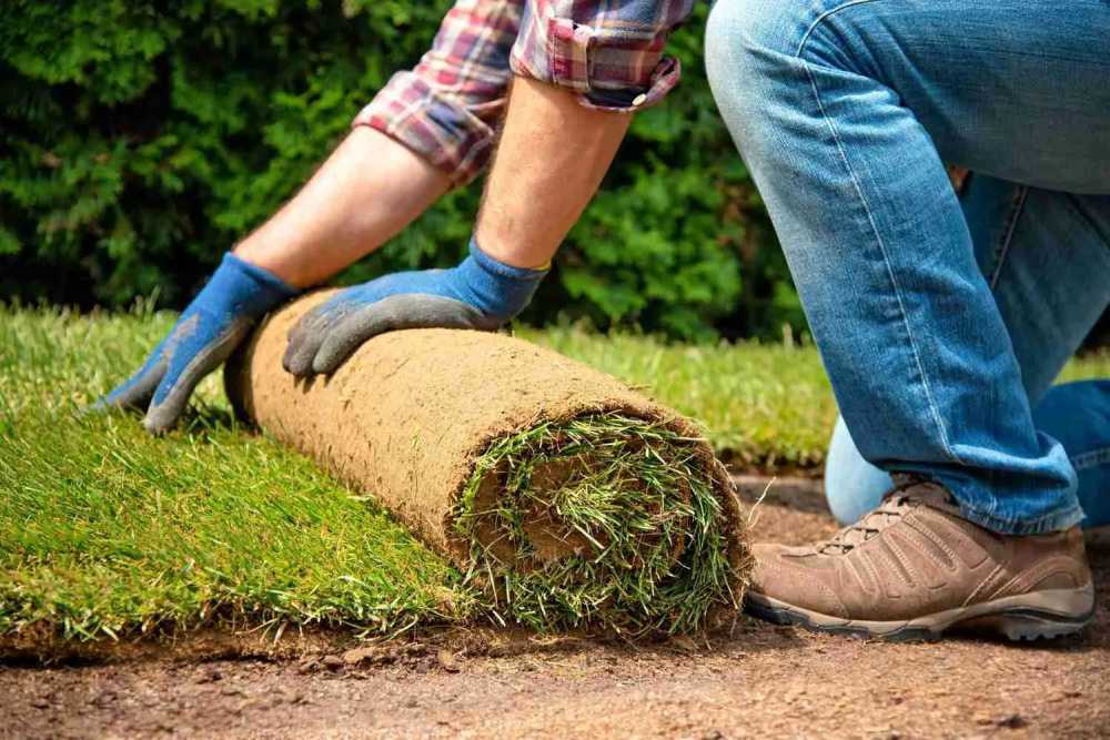 grass-installation-gunners-landscapes-big-0