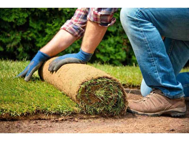 grass-installation-gunners-landscapes-small-0
