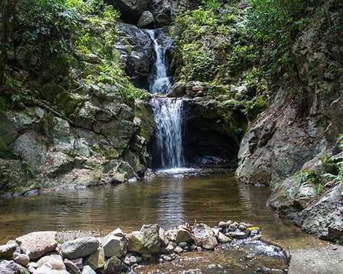 book-a-waterfall-tour-in-fiji-for-an-unforgettable-experience