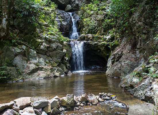 book-a-waterfall-tour-in-fiji-for-an-unforgettable-experience-big-0