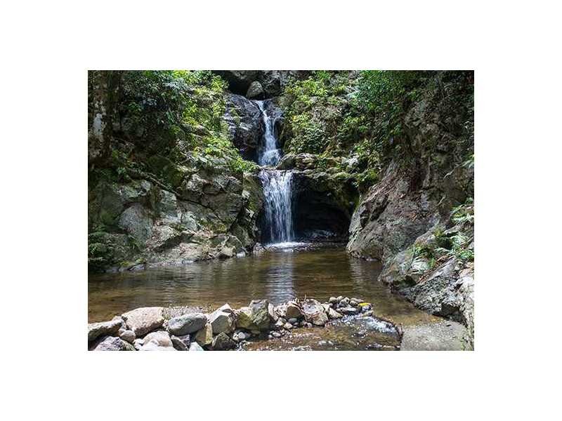 book-a-waterfall-tour-in-fiji-for-an-unforgettable-experience-small-0