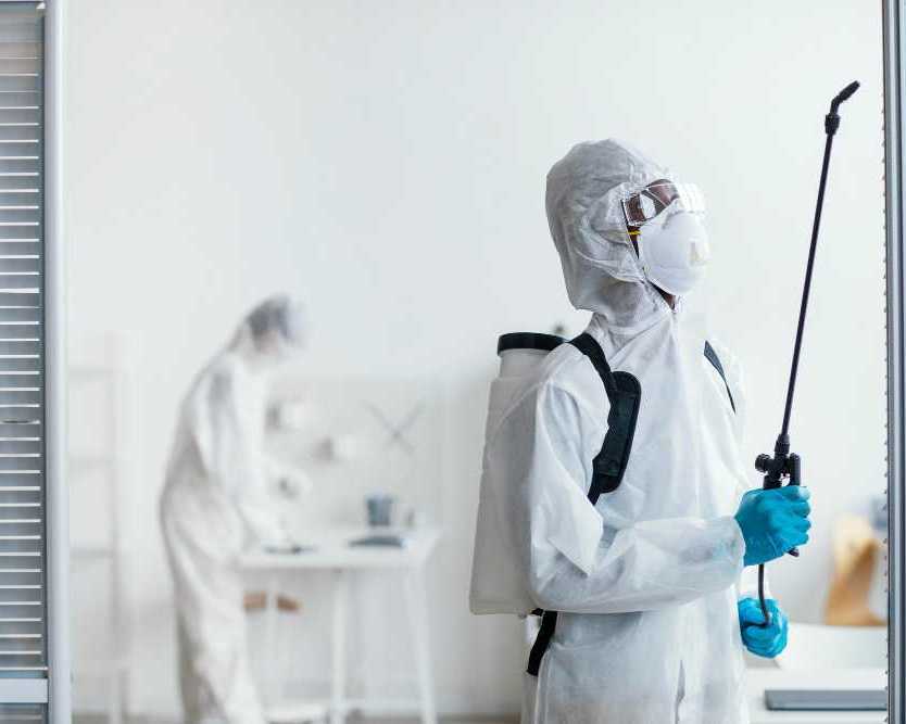 pest-control-oxenford-trusted-pest-management-for-homes
