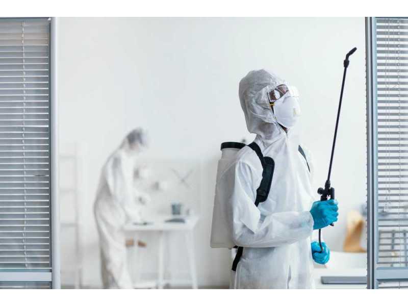 pest-control-oxenford-trusted-pest-management-for-homes-small-0