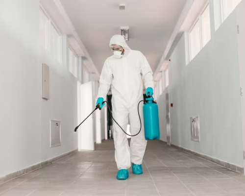 local-pest-solutions-for-homes-and-businesses-in-carrum-downs