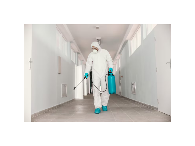 local-pest-solutions-for-homes-and-businesses-in-carrum-downs-small-0