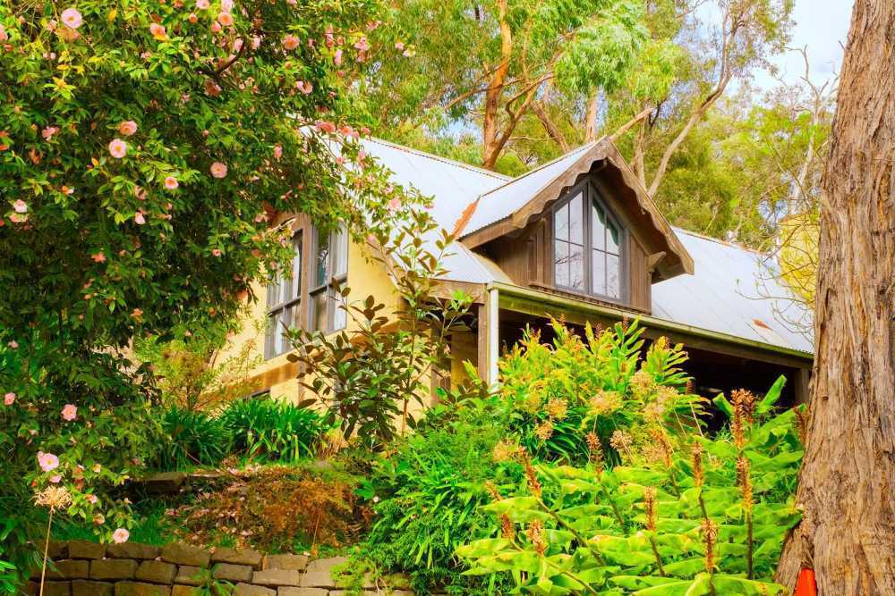 comfortable-stays-near-nature-in-hotels-belgrave-victoria-big-0