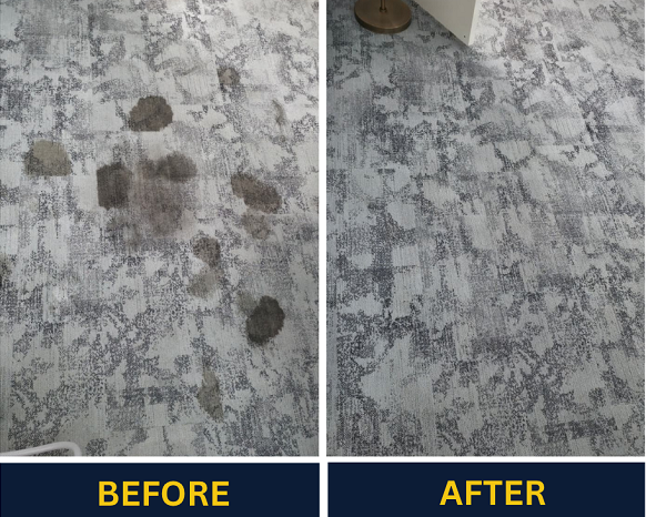 need-professional-carpet-cleaning-in-adelaide-weve-got-you-covered