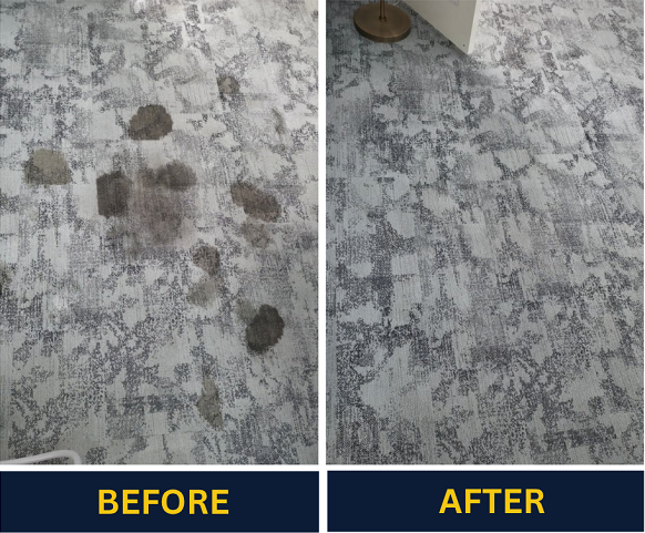 need-professional-carpet-cleaning-in-adelaide-weve-got-you-covered-big-0