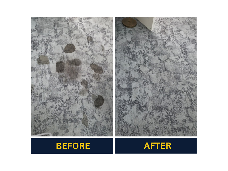 need-professional-carpet-cleaning-in-adelaide-weve-got-you-covered-small-0