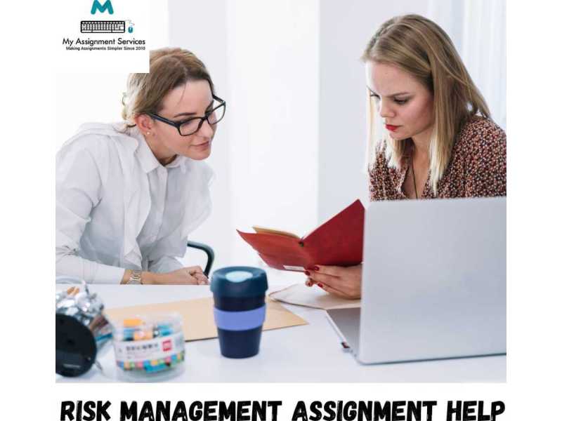 risk-management-assignment-help-expert-academic-support-small-0