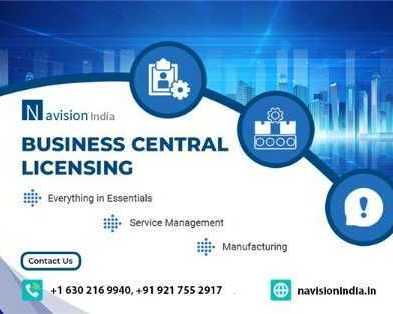 smart-erp-business-central-license-pricing-guide