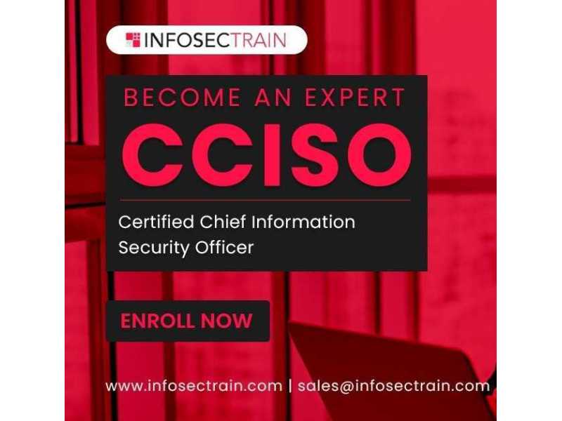 cciso-domain-3-strategic-planning-finance-and-vendor-management-small-0