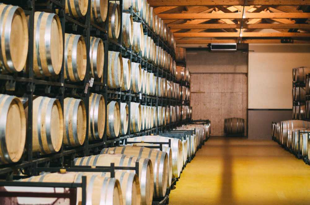 winemaster-c25-climate-control-storage-kings-winehaus-big-0