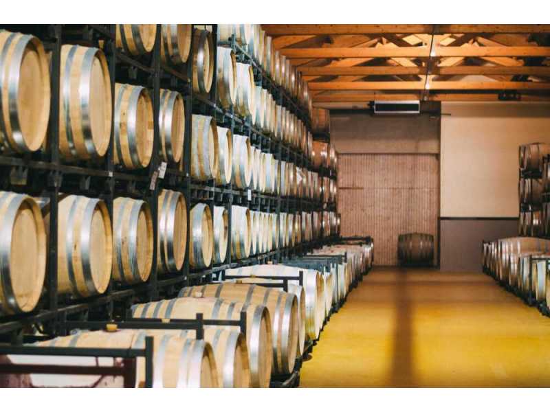 winemaster-c25-climate-control-storage-kings-winehaus-small-0