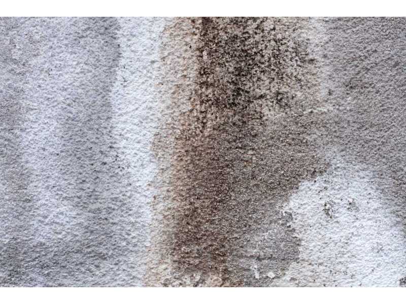 affordable-carpet-repairs-perth-for-lasting-results-small-0