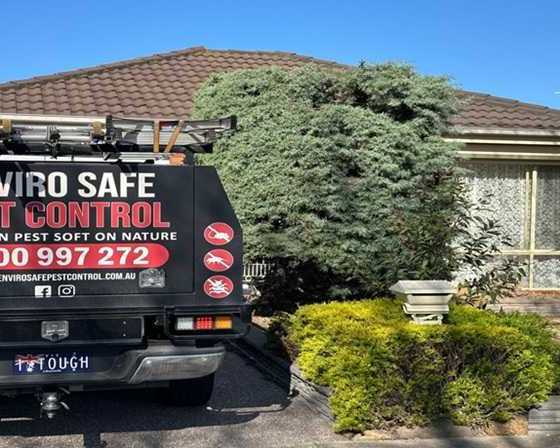 enviro-safe-pest-control