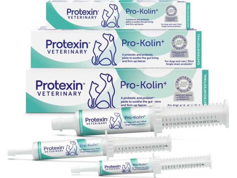 support-healthy-digestion-with-pro-kolin-for-dogs-small-0