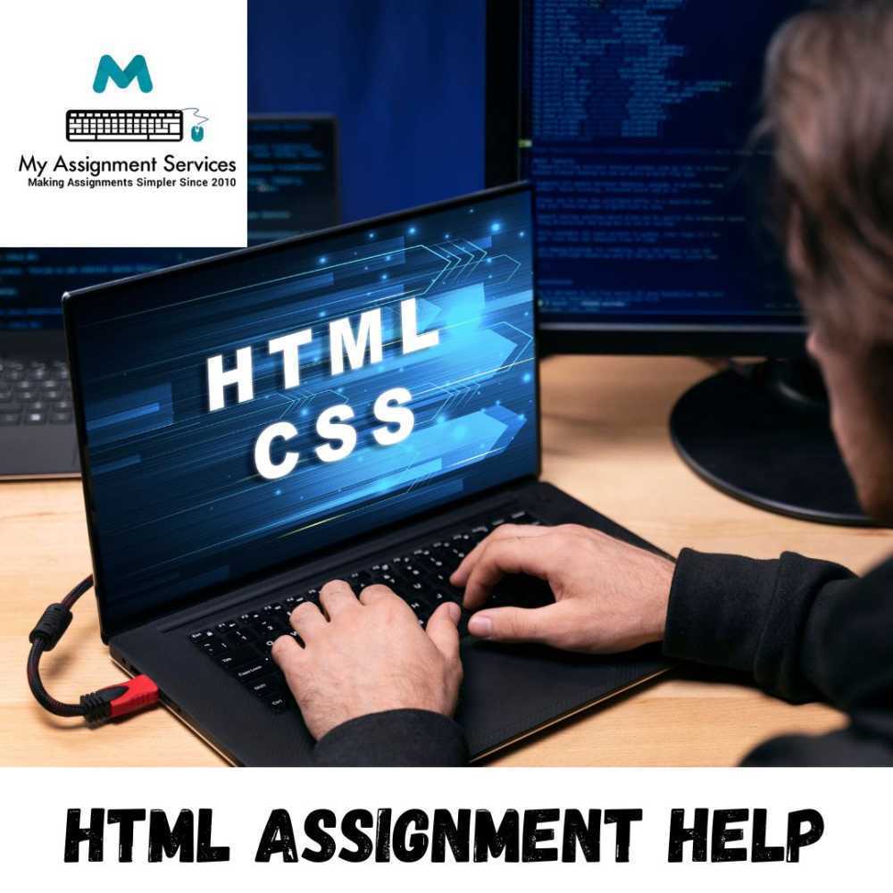 professional-html-assignment-help-expert-coding-big-0