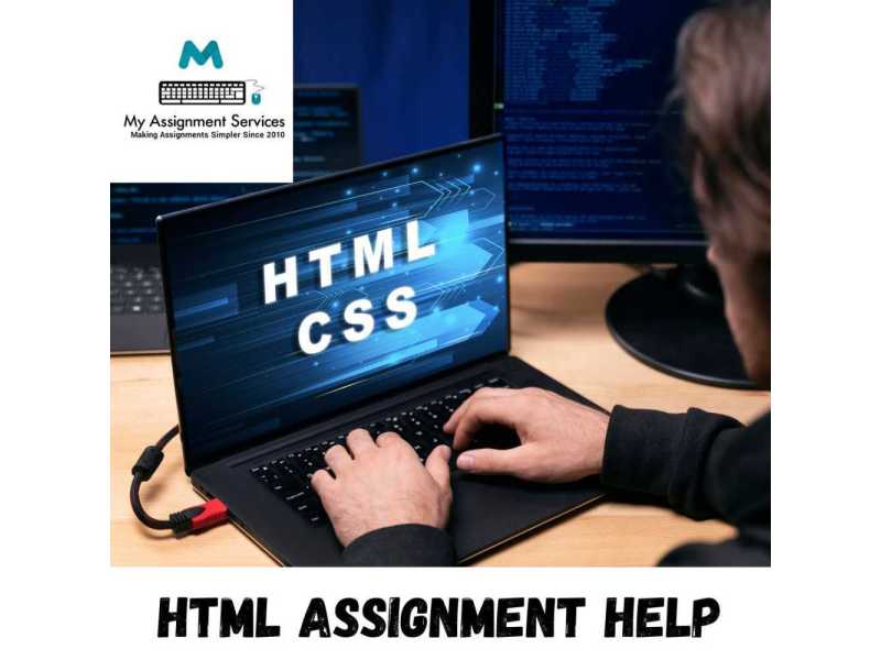 professional-html-assignment-help-expert-coding-small-0