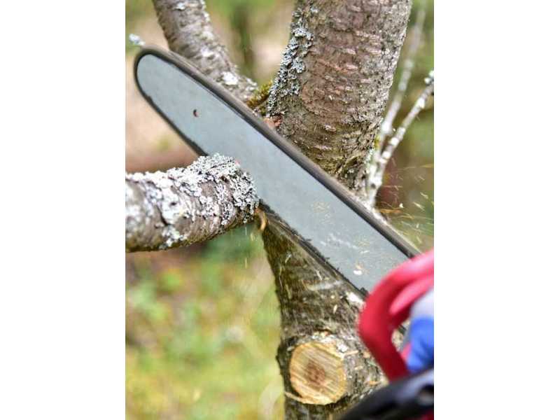 tree-cutting-dural-small-0