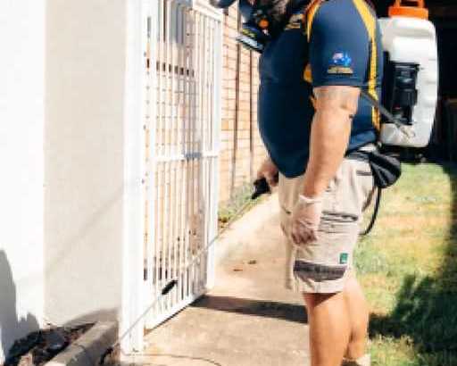 termite-treatment-sydney
