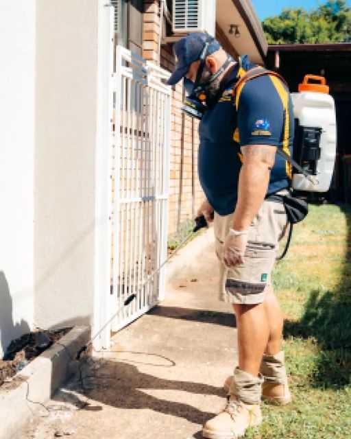 termite-treatment-sydney-big-0