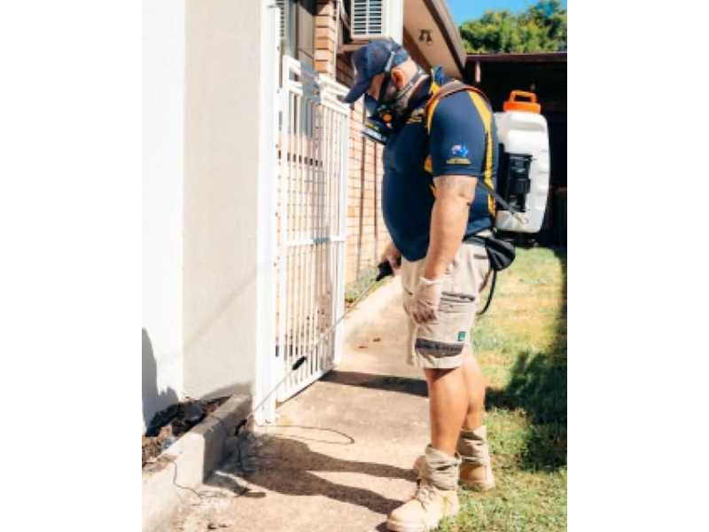 termite-treatment-sydney-small-0