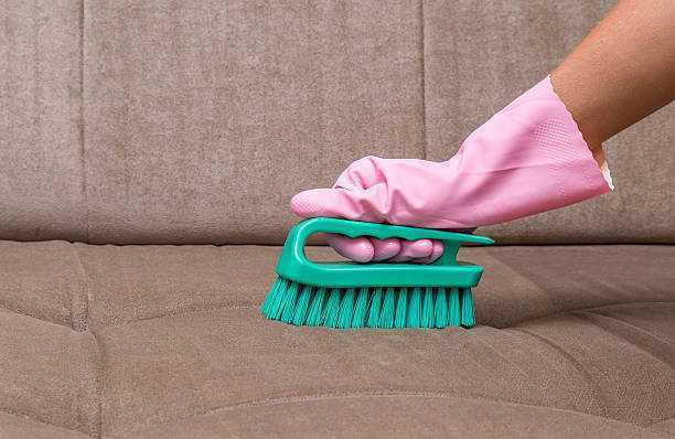 upholstery-cleaners-brisbane-professional-upholstery-cleaning-by-ezydry-big-0