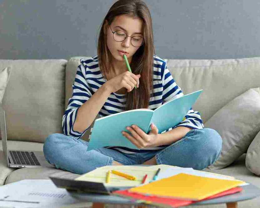 need-help-with-law-essay-writing