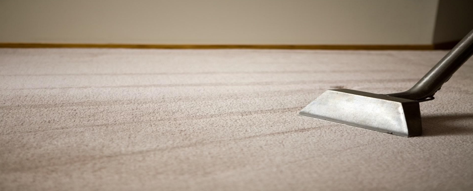 professional-rug-care-for-long-lasting-freshness-big-0